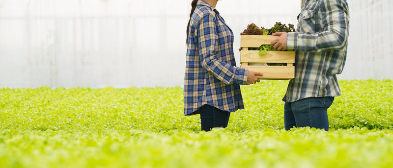 De la granja a la cesta de la compra: Los modelos sostenibles que acortan distancias