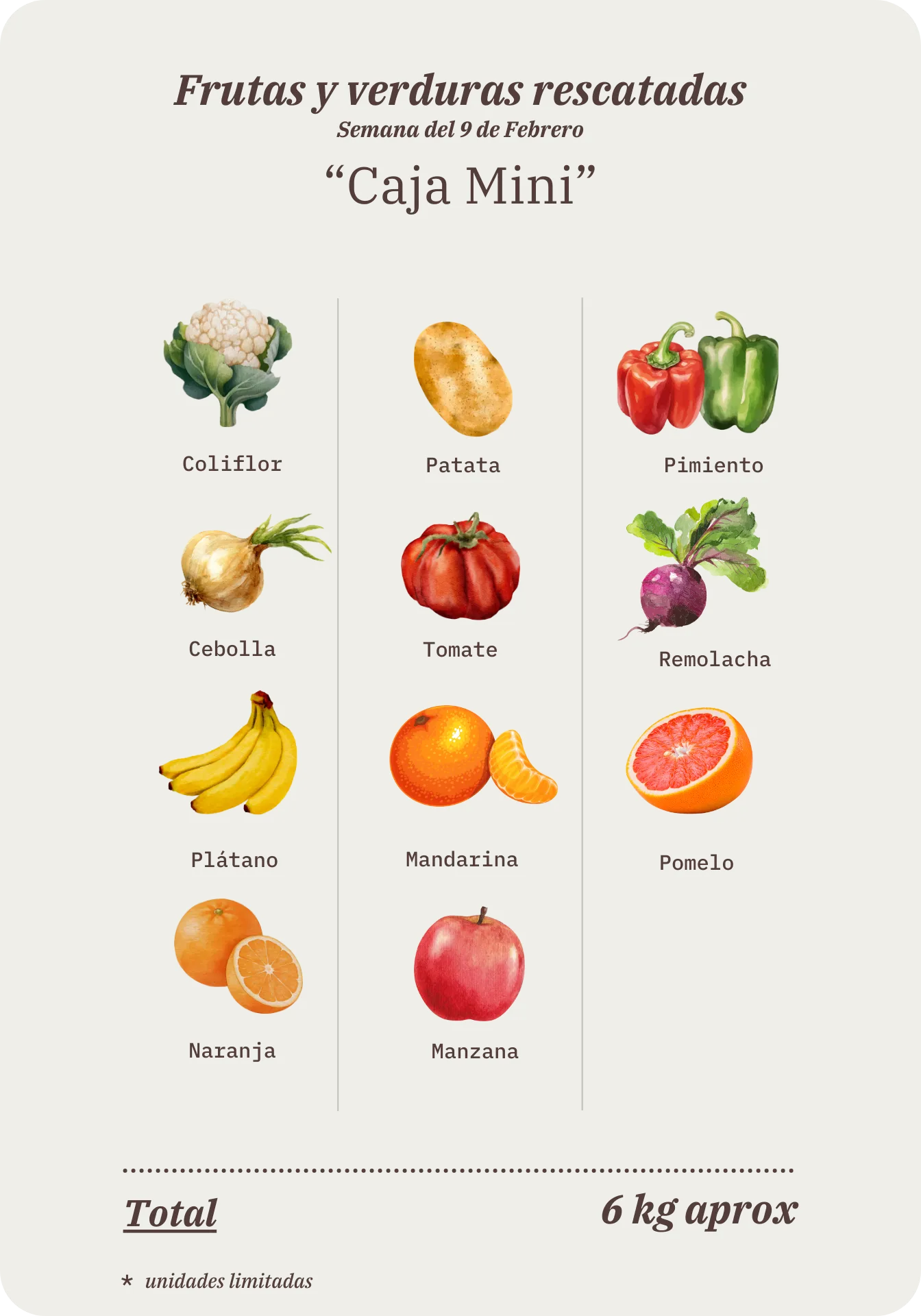 Contenido de la Caja Mini Remolona de esta semana