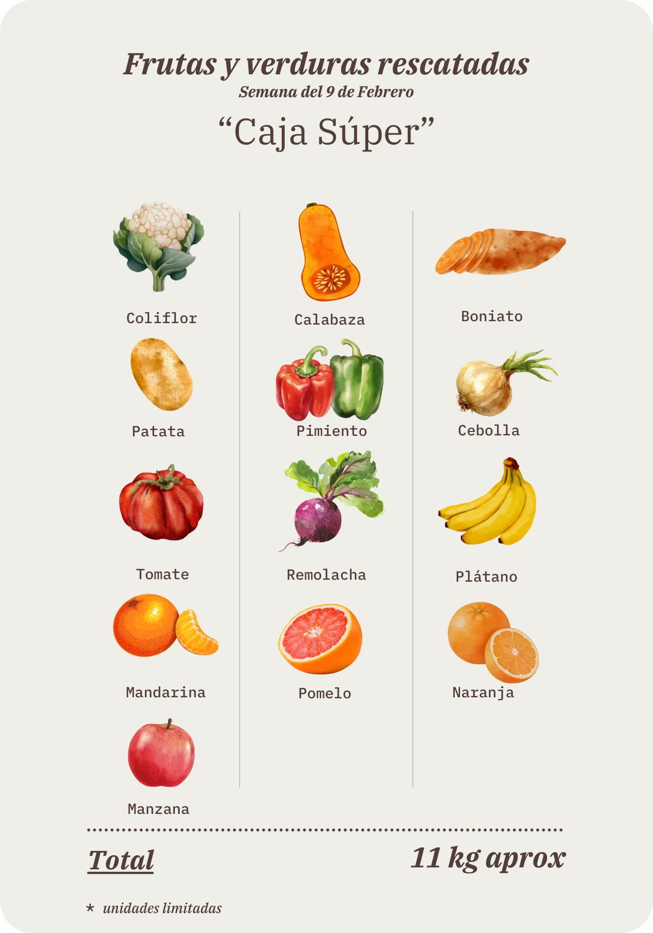 Contenido de la Caja Súper Remolona de esta semana