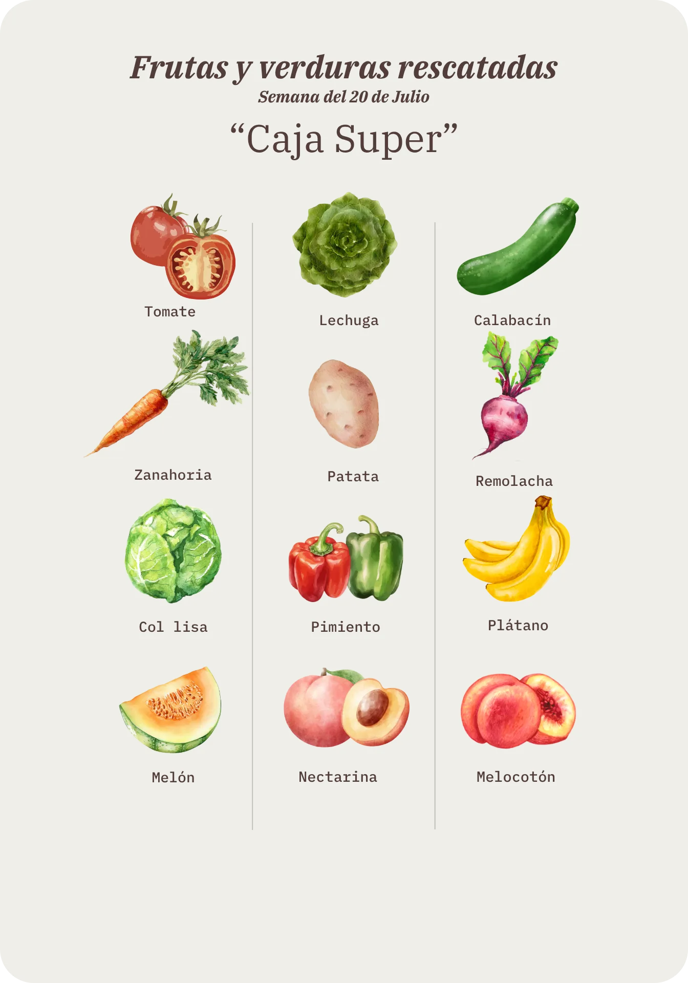 Contenido de la Caja Súper Remolona de esta semana