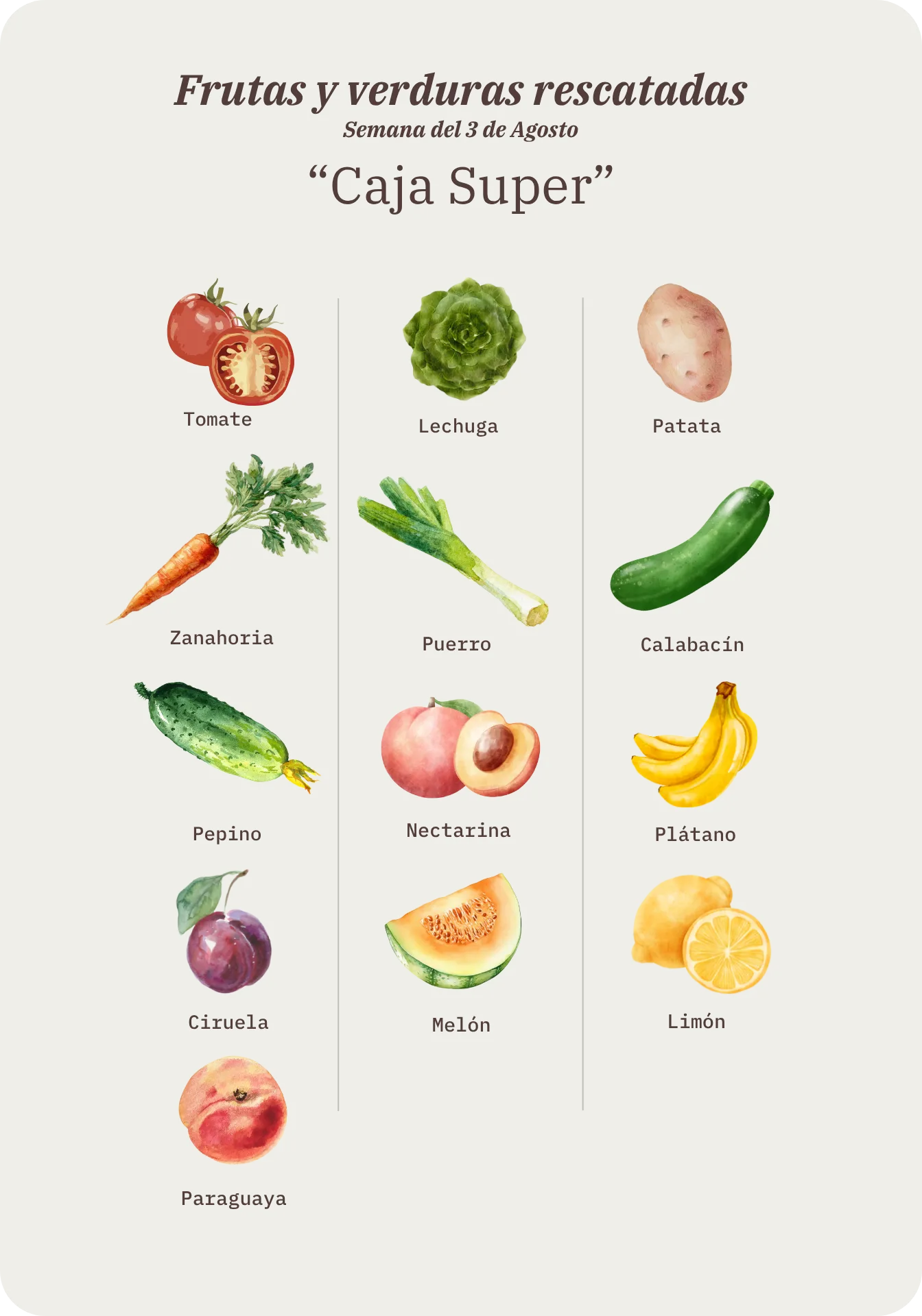 Contenido de la Caja Súper Remolona de esta semana